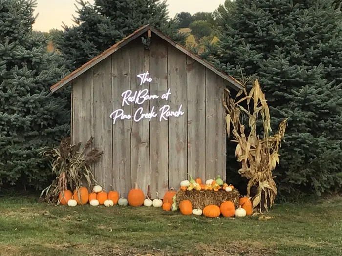 AustraliaNeonSigns.Com