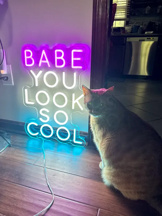 AustraliaNeonSigns.Com