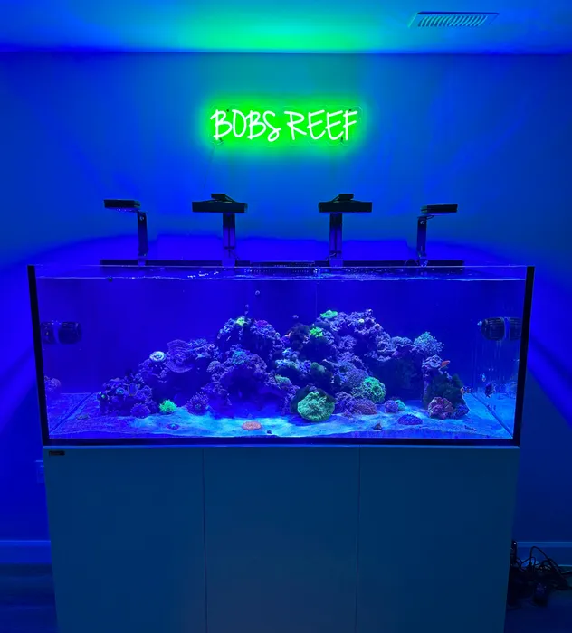 AustraliaNeonSigns.Com - Custom Neon Sign