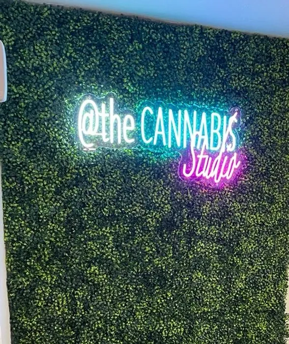 AustraliaNeonSigns.Com - Artwork Neon Sign