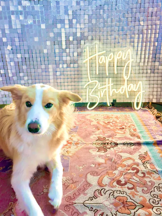 AustraliaNeonSigns.Com - Custom Neon Sign