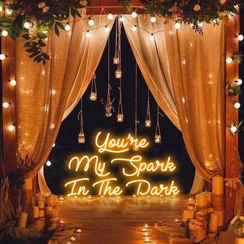 You Are My Spark in The Dark Neon Sign - Australia Neon Signs