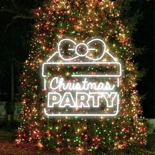 Christmas Party Gift Box Neon Sign - Australia Neon Signs