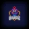 Pro Gamer Joystick Neon Sign - Australia Neon Signs